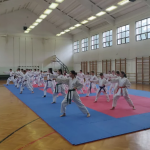 Köszönet a karate edzőtáborért
